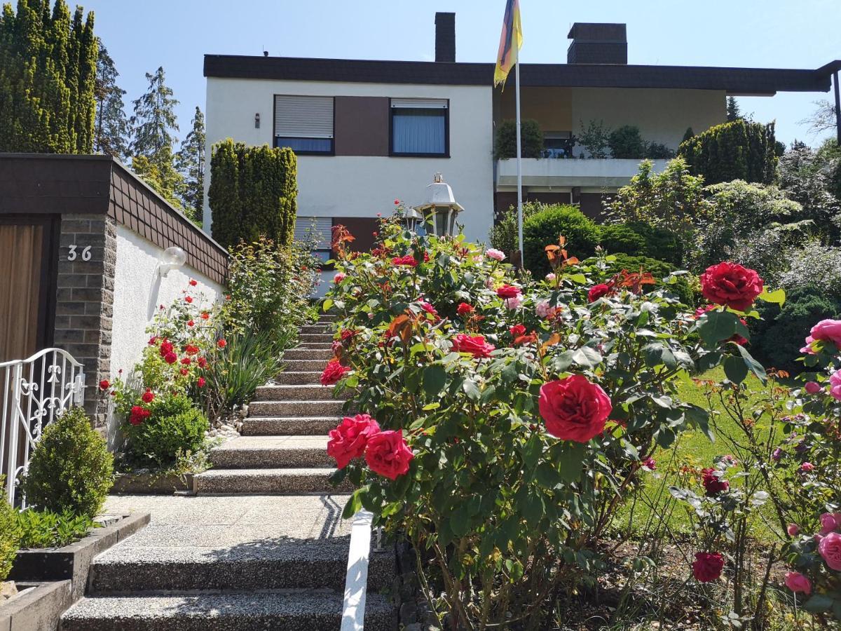 Apartments Gala, Ruhige Lage, Stadtnah Bad Kissingen Exterior photo